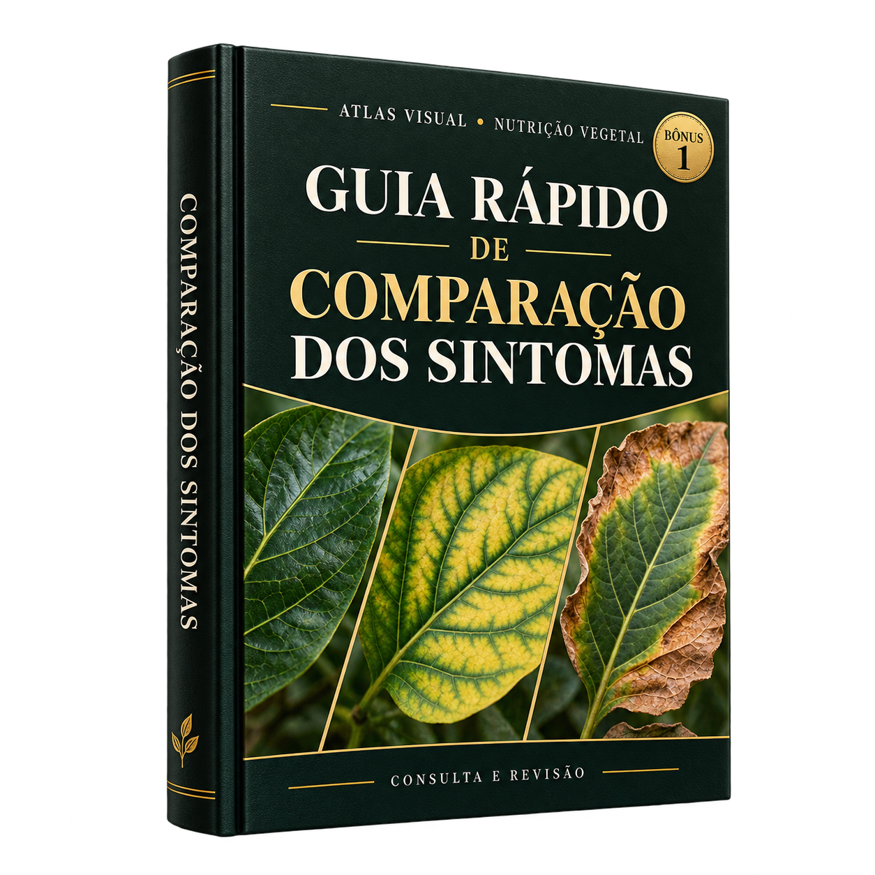 Guia Rápido de Comparação dos Sintomas