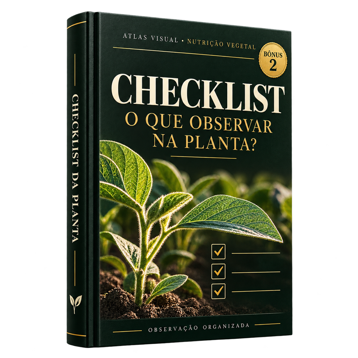 Checklist “O que observar na planta?”