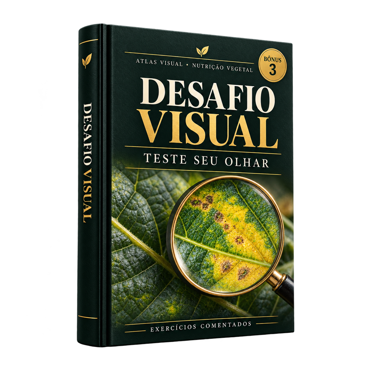 Desafio Visual: Teste seu Olhar
