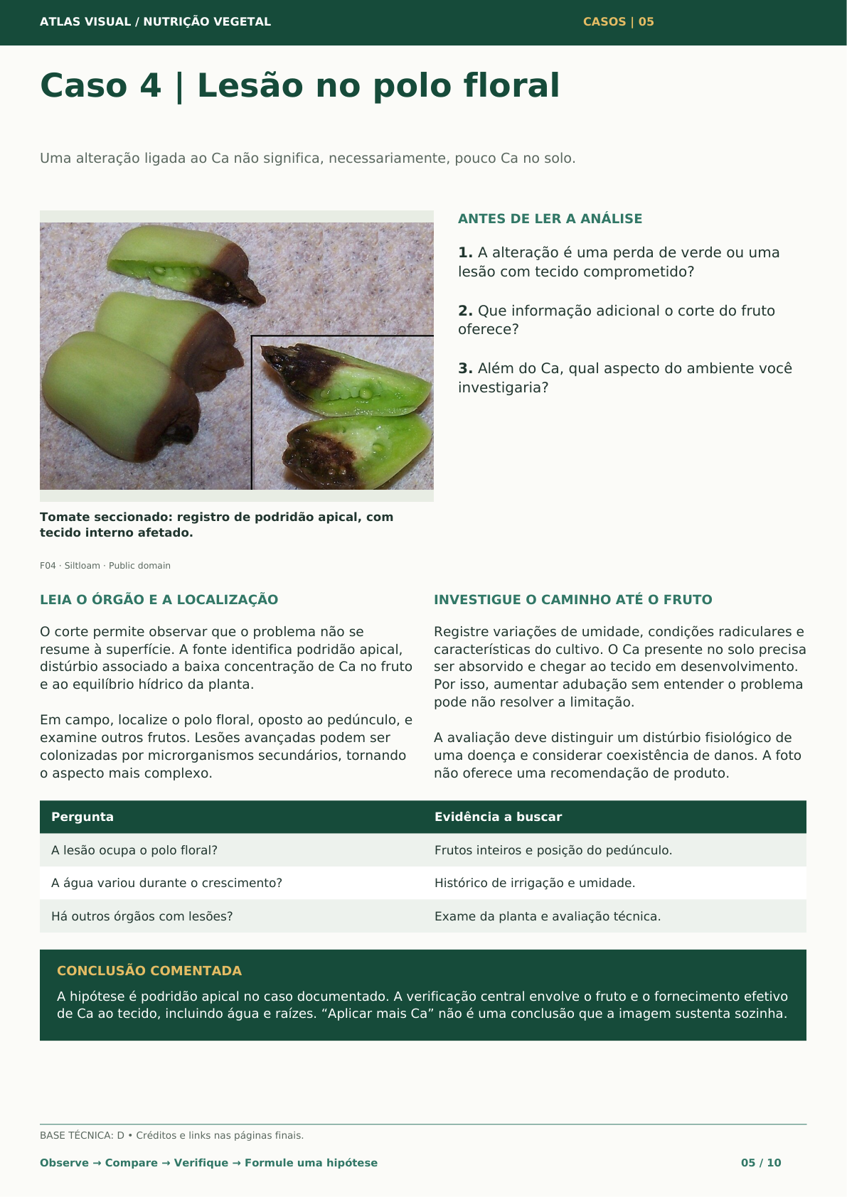 Carrossel 3