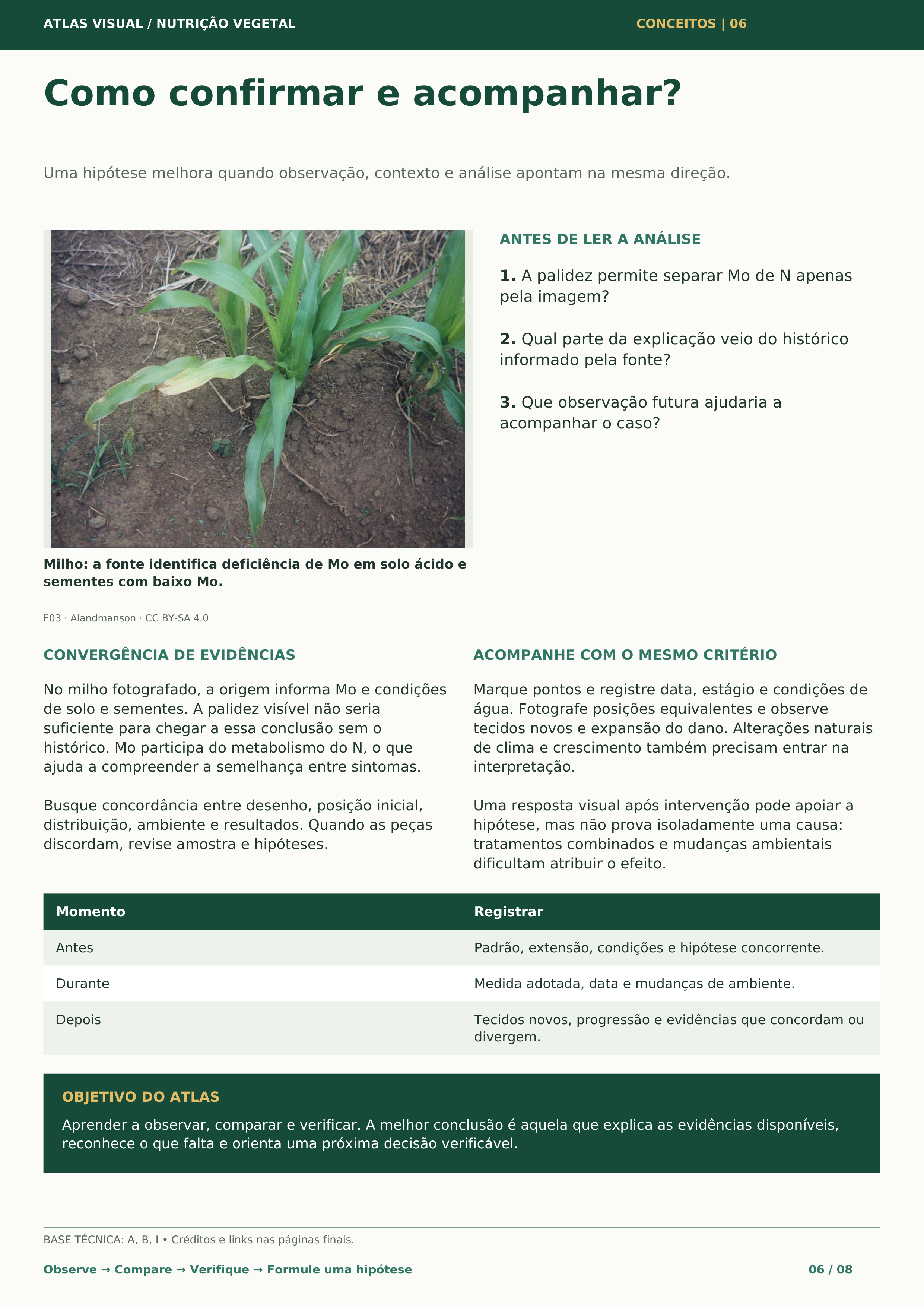 Carrossel 8