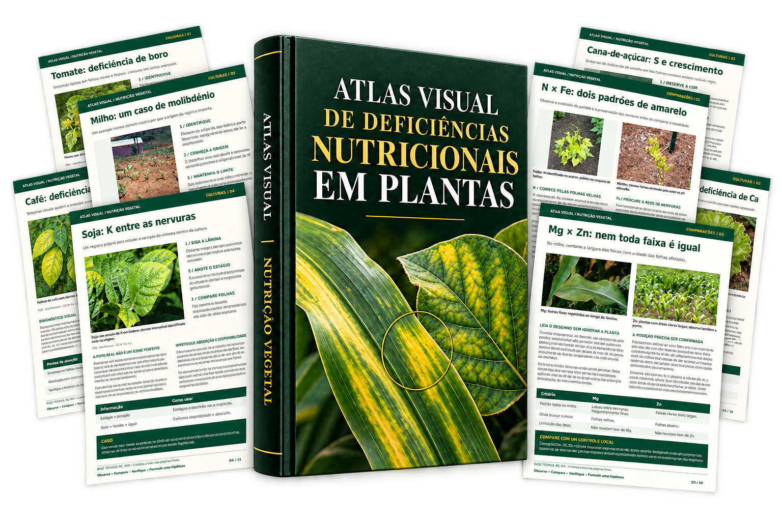 Mockup do Plano Completo